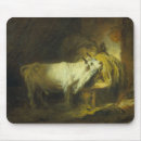 Search for stable mouse mats Animal