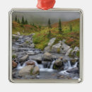 Search for mt rainier christmas tree decorations Landscape