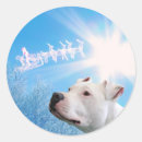 Search for white pitbull dog stickers Pets