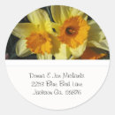 Search for yellow daffodils stickers Nature