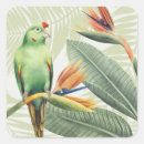 Search for green bird stickers Colourful