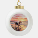 Search for beach ball christmas tree decorations Sunset