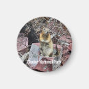 Search for cute round magnets Travel