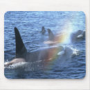 Search for johnston mouse mats Ocean