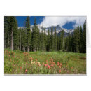 Search for banff photography Scenic