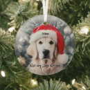 Search for golden retriever christmas tree decorations Puppy
