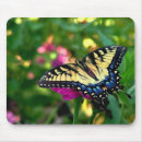 Search for swallowtail butterfly electronics Macro