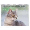 Search for charity calendars Shelter