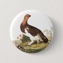 Search for birder badges Birdwatcher