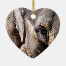 Search for mammals christmas tree decorations Wild