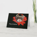 Search for pet ferret cards Animal