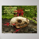Search for bee balm posters Monarda