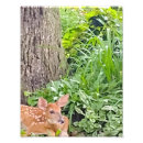 Search for bambi posters Deer