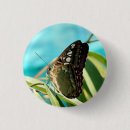 Search for wings butterfly badges Butterflies