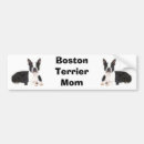Search for boston terrier bumper stickers Terriers
