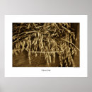 Search for oats posters Grain