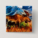 Search for bull badges Vintage