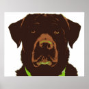 Search for chocolate lab posters Cute