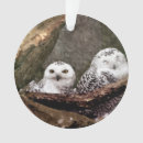 Search for owls christmas tree decorations White owl