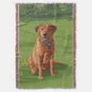 Search for labrador retriever blankets Pets
