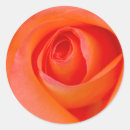 Search for rose bud stickers Garden