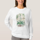 Search for botanical other Testard
