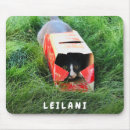 Search for cute cat mouse mats Simple