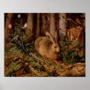 Search for vintage rabbit posters Hare