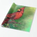 Search for red bird wrapping paper Watercolor
