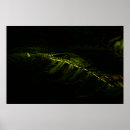 Search for sunlit art Sunlight