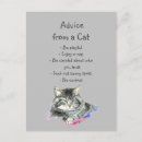 Search for fun cat postcards Kitten