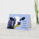 Search for cow cards Herd