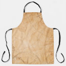 Search for v aprons Abstract