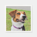 Search for beagle napkins Cute