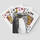 Search for penguin playing cards Nature