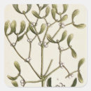 Search for mistletoe stickers Illustration