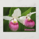 Search for slipper postcards Minnesota
