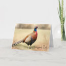 Search for bird fathers day cards Wildlife