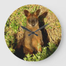 Search for wallaby art Kangaroo