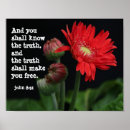 Search for gerbera daisy posters Floral