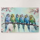Search for budgie puzzles Budgerigars
