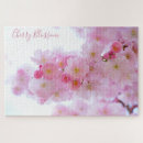 Search for cherry photography Pink flowers