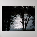 Search for black and white tree silhouette art Landscape