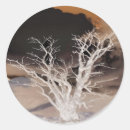 Search for snow covered trees stickers Seasons