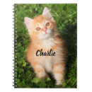 Search for cute fluffy notebooks Animal