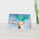 Search for antler christmas cards Labrador retriever