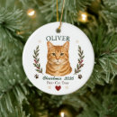 Search for tabby christmas tree decorations Cute