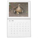 Search for duck calendars Birds