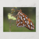 Search for fritillary postcards Orange