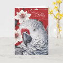 Search for red parrot cards Parrots
